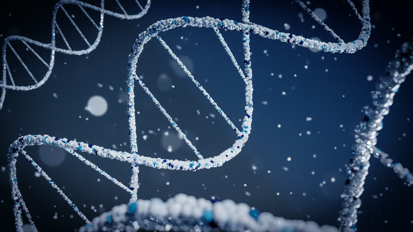 3D Illustration of DNA strands