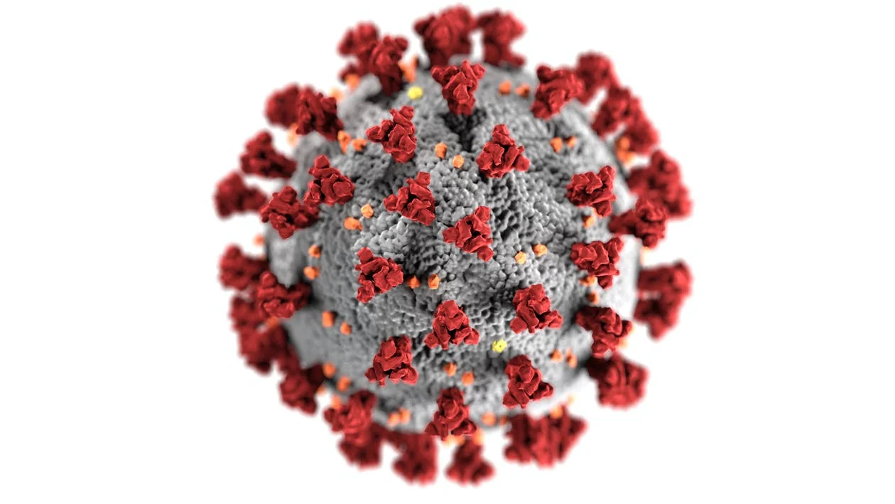 Illustration of a COVID virus