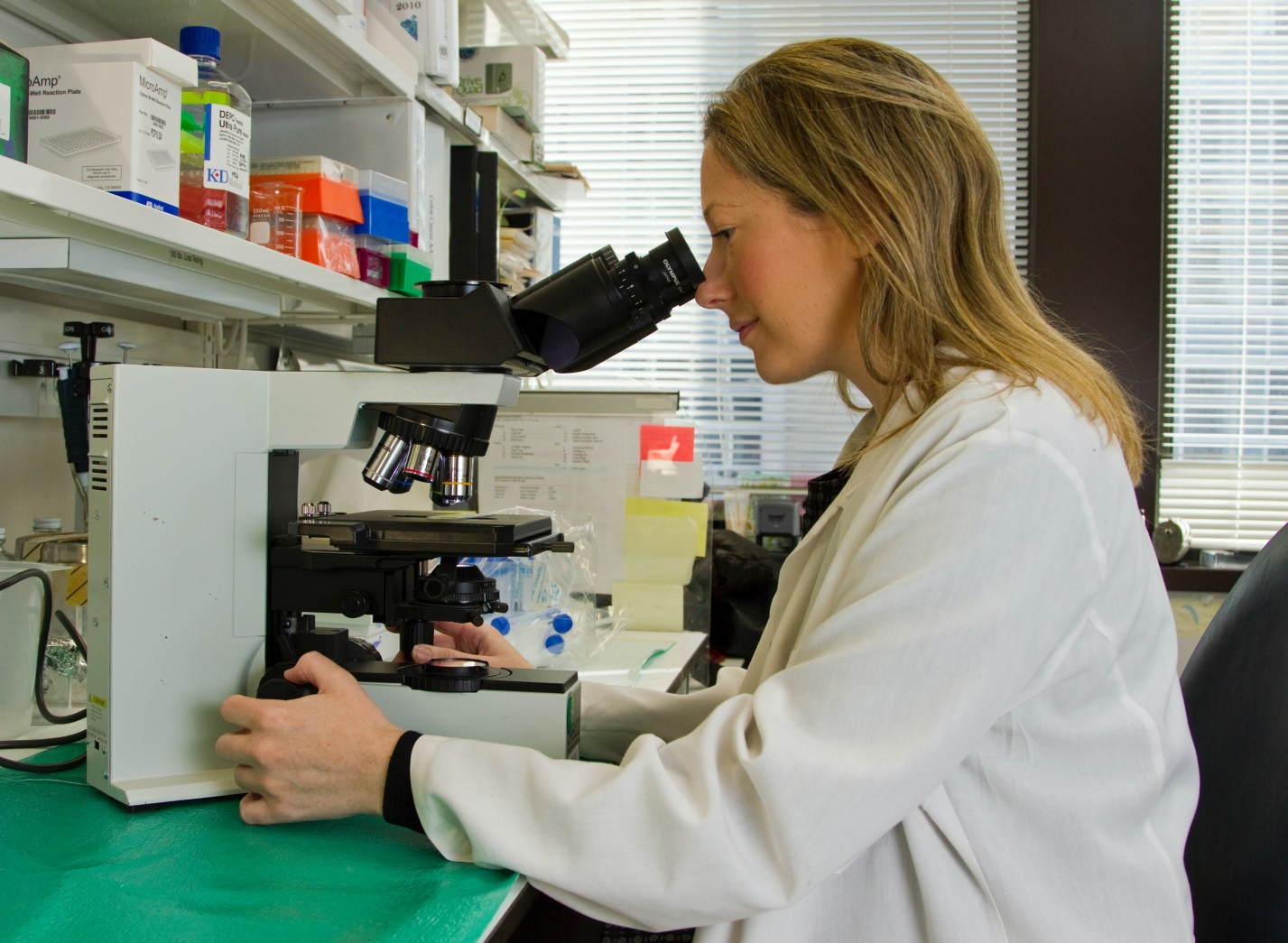 A doctor looking at a blood sample to check for thrombocytopenia.