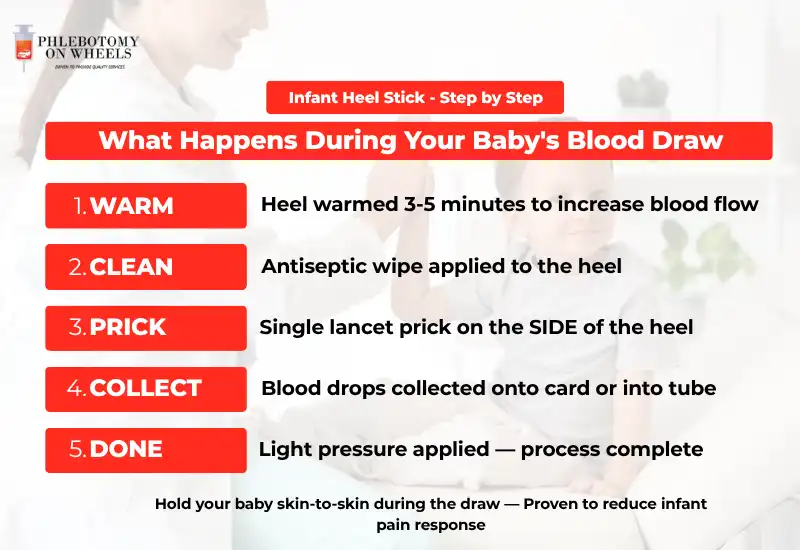 Infographic showing 5 steps of infant heel stick blood draw process including warming cleaning pricking collecting and finishing