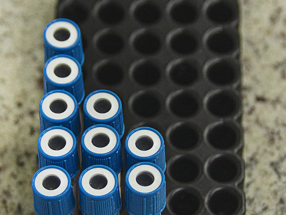routine blood draw service in Virginia, collected specimen tubes organized in a lab rack for scheduled testing
